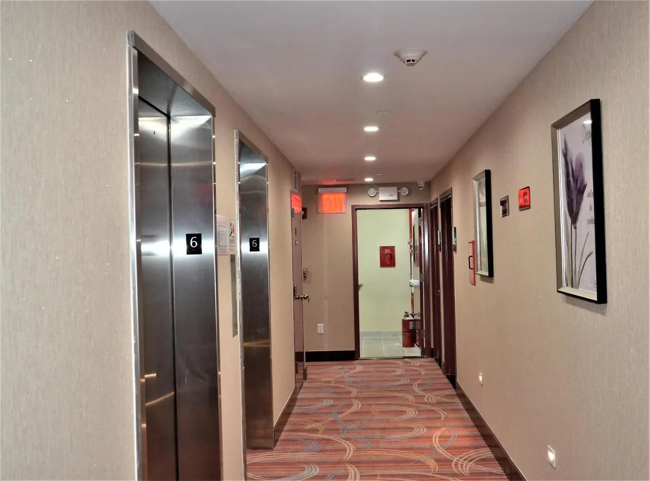 Lic Plaza Hotel Нью-Йорк США